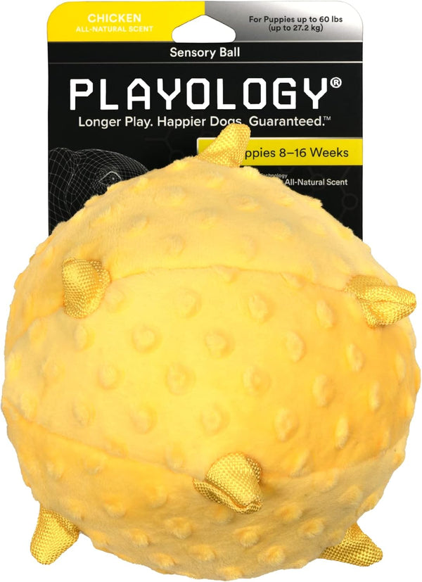 Playology Puppy Dog Ball Toys - Sensory Development Chew Toys with Squeaker for Puppies 8-16 Weeks (Up to 60 lbs)