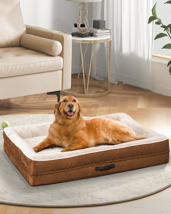 Medium Orthopedic Dog Bed, Egg Foam Couch with Removable Washable Cover, Waterproof Sofa Bed with Non-Slip Bottom,