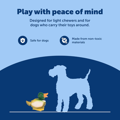 PetSafe Busy Buddy Duck Squeeze Meeze - Fun Latex Dog Toy with Squeaker