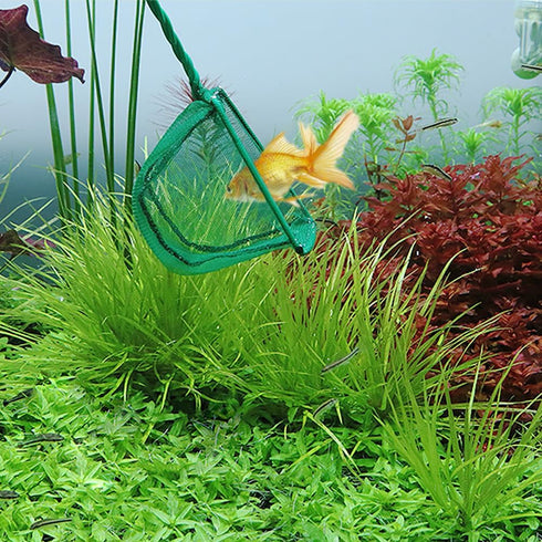 2 Pcs Small Aquarium Fish Nets, Large Fish Tank Nets with Plastic Handle for Maintenance