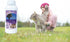 Cat Litter Deodorizer, Lavender Bay