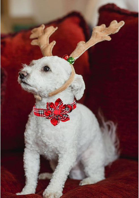 Lionheart Glory Christmas Plaid Dog Collar, Adjustable Soft Comfortable Flower Collar for Small Dogs, Pet Gift Fall
