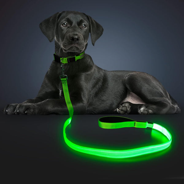 LED Light Up Dog Leash with 3 Lighting Modes, USB Rechargeable, High Visibility for Large Medium Small Pets