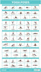 Vive Yoga Poster - Poses for Beginners and Experts, Double Sided Laminated Flow Chart for Home Gym