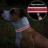TagME Reflective Nylon Dog Collars, Adjustable Pet Collar for Medium Dogs, Baby Pink, 1.0" Width with Quick Release