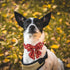 Maca Bates Adjustable Fall Dog Collar with Bow Tie, Autumn Leaves, Breakaway Accessories for Small Medium Large XL Pets