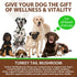 akareni Immune 5X 60ml Turkey Tail Mushroom for Dogs, Natural Turkey Tail for Dogs Mushroom Supplement Support