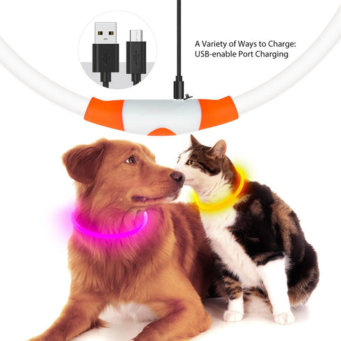 Flashseen LED Dog Collar - USB Rechargeable Glowing Lighted Collar, Water-Resistant TPU Safety Lights for Dogs