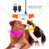 Flashseen LED Dog Collar - USB Rechargeable Glowing Lighted Collar, Water-Resistant TPU Safety Lights for Dogs