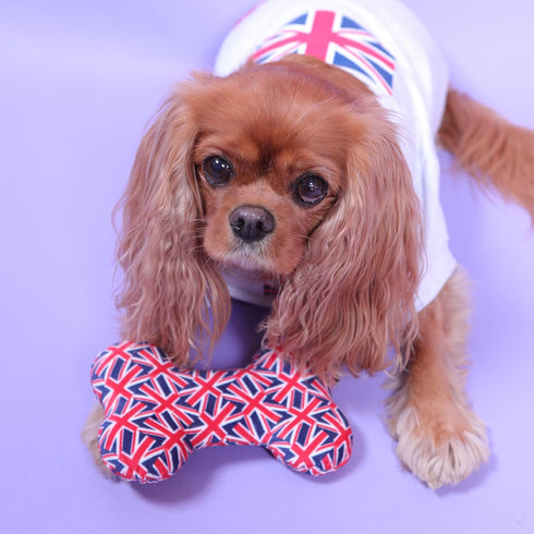 Pet London Union Jack British Flag Squeaker Bone Dog Toy, Full Size Squeaky Insert, UK Design