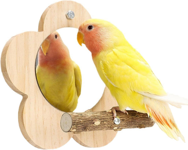 Parrot Perch Stand with Mirror & Chew Toys Natural Wood Bird Play