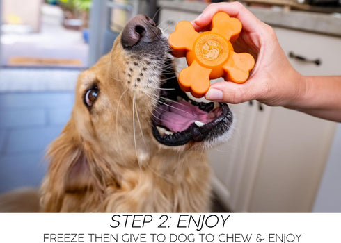 Tough Pup Puck Dog Toy for Aggressive Chewers, Long Lasting Chew Toys, Stuffable Center with Treats, Easy to Clean