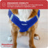 Downtown Pet Supply Step in Dog Harness for Small Dogs, No Pull, Blue, Adjustable with Padded Mesh Fabric and
