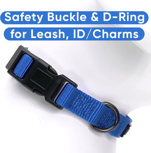 Pawtitas Adjustable Dog Collar, Heavy Duty Waterproof with Quick-Release Buckle, Blue for Small Breed