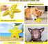 Dog Chew Toys, Squeaky Water Floating Starfish Toy, Natural Tooth Brush for Small Medium Dogs, Yellow