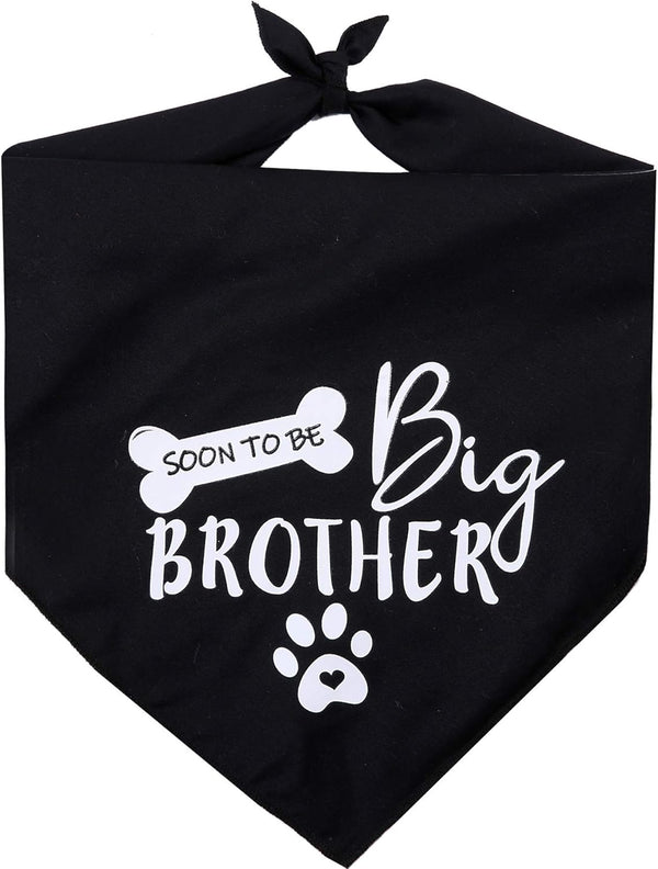 Big Brother Dog Bandana - Reversible Triangle Bibs Pet Scarf