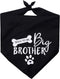 Big Brother Dog Bandana - Reversible Triangle Bibs Pet Scarf