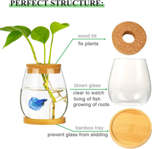 Desktop Fish Bowl, Clear Glass Small Fish Tank with Wood Lid and Bamboo Stand for Betta Fish