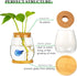 Desktop Fish Bowl, Clear Glass Small Fish Tank with Wood Lid and Bamboo Stand for Betta Fish