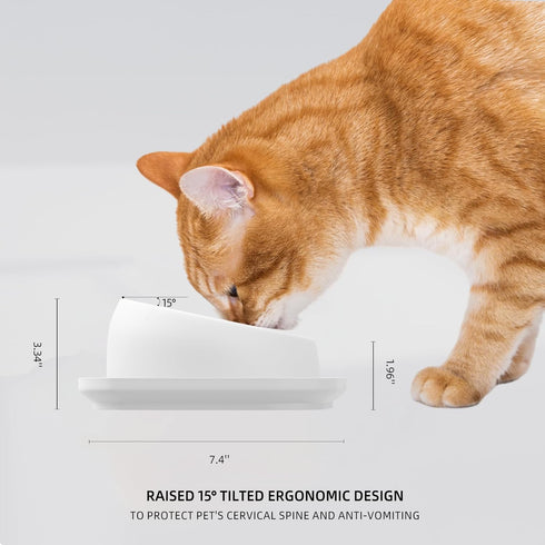 Cat Bowls Elevated Tilted Whisker Friendly - Shallow Stainless Steel Food Dishes for Indoor Cats, Elevated Design