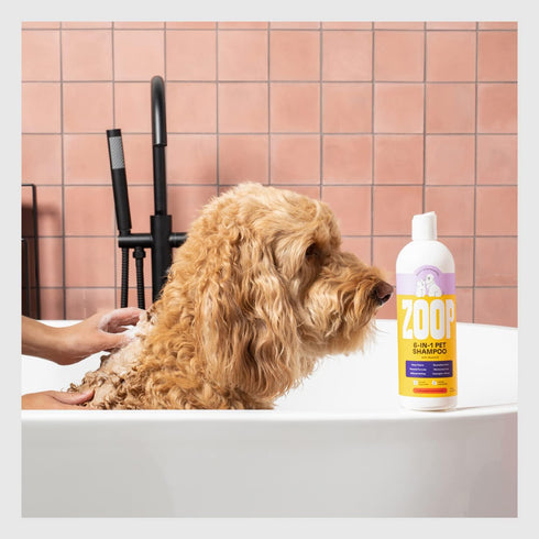 Dog Shampoo and Conditioner - 6-in-1 All Natural Pet Wash (16 oz) for Deep Clean, Odor Eliminating, Itch Relief