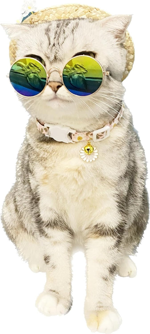Hawaiian Costume for Pet, Summer Bandanna & Hat with Sunglasses for Pet