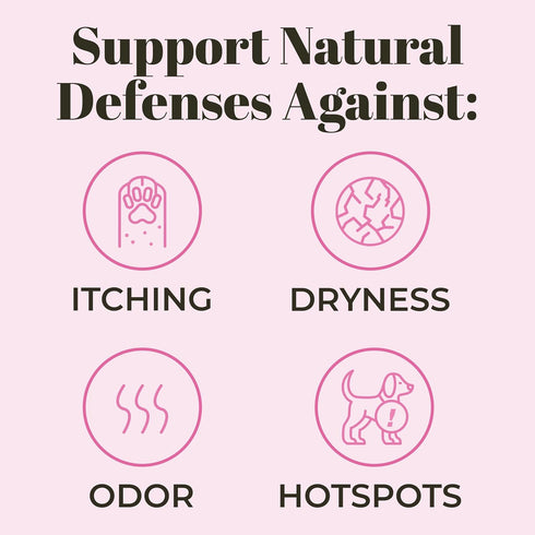 Skout's Honor Probiotic Pet Shampoo & Conditioner 16oz with Avocado Oil & Omega-3s, 97% Natural, Cruelty-Free