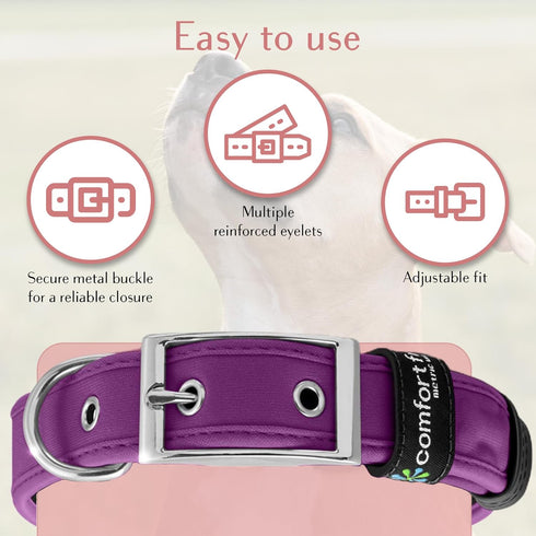 Comfort Fit Dog Collar - Soft Padded Adjustable Buckle Collar, Lightweight, Durable - Purple, Large