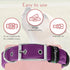 Comfort Fit Dog Collar - Soft Padded Adjustable Buckle Collar, Lightweight, Durable - Purple, Large