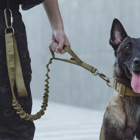 EXCELLENT ELITE SPANKER Tactical Military Dog Leash, Space Aluminum Hook Clips, Elastic Bungee Rope with 2 Handles