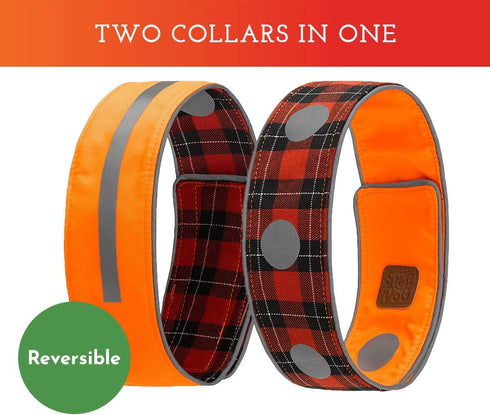 SPOT THE DOG! Reflective Dog Collar - Adjustable Durable Comfortable Collars for Large Dogs, Hunting Dogs (Blaze Orange)