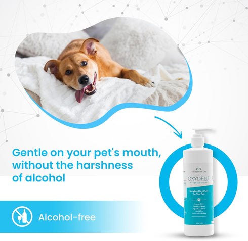 Premium Pet Dental Care Solution - Water Additive & Mouthwash for Dogs & Cats, Fights Tartar & Plaque