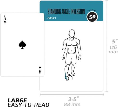 NewMe Fitness Stretching Workout Cards, Instructional Fitness Deck for Women & Men, Beginner Fitness Guide to Training