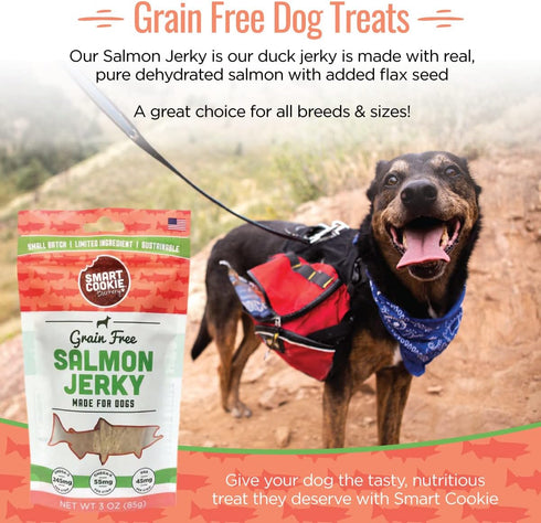 Smart Cookie Salmon Jerky Dog Treats - DHA, Omega Strips for Dogs & Puppies, 3oz Bag, Pack of 3