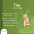 Tomlyn High Calorie Nutritional Gel for Kittens (Nutri-Cal) 4.25 oz