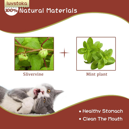Silvervine Sticks for Cats, 30PCS Wooden Chew Toys, Matatabi Catnip Teething Toys for All Ages