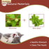 Silvervine Sticks for Cats, 30PCS Wooden Chew Toys, Matatabi Catnip Teething Toys for All Ages