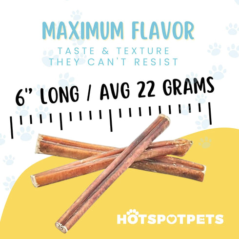 hotspot pets 6 Inch Premium Bully Sticks (20 Pack) - All Natural Long Lasting Beef Pizzle Treats for Medium Dogs