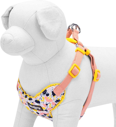 Blueberry Pet Soft & Comfy Blooming Floral No Pull Mesh Dog Harness Vest, Creamy White, Chest Girth 17.5"-21"