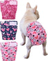 CuteBone Washable Dog Diapers Female No Tail Hole 3 Pack Reusable Doggie