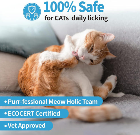 (5 oz) Mooncat Waterless Cat Shampoo and Brush Kit - No Rinse Foam Bath for Long Hair Cats - Grooming for Sensitive