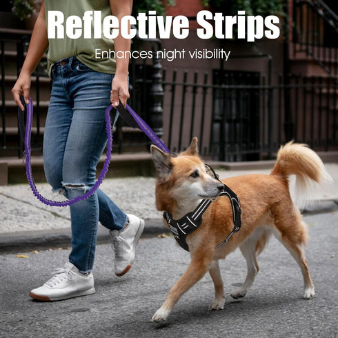 BUMBIN 6Ft Dog Leash for Large Dogs, Bungee Leash with 2 Handles, Heavy Duty for Medium Small Dogs, No Pull, Purple
