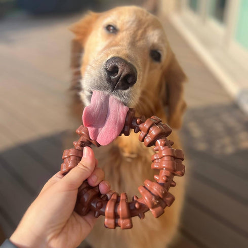 Nylabone Textured Ring Power Chew Toy for Large Dogs, X-Large - 50+ lbs, Durable Chew Bones, Flavor Medley