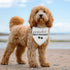 Guess What? Mom's Pregnant Dog Bandana Pregnancy Announcement Baby Announcement Dog Bandana for Dogs Pregnancy