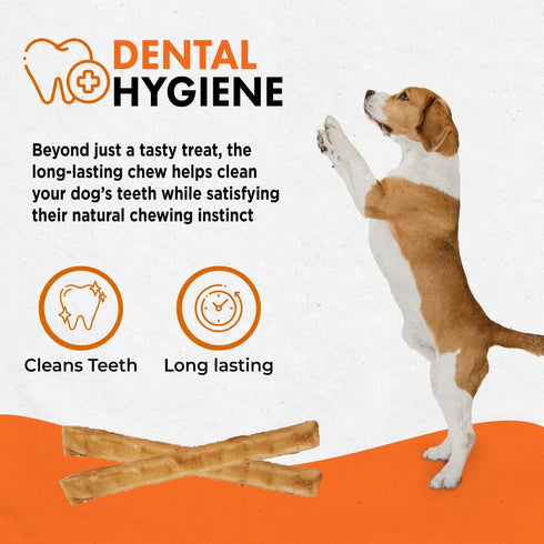 Canine Naturals Chicken Recipe Chew, Rawhide Free Dog Treats, Made From USA Raised Chicken, 10 Count of 5 Inch Stick