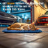 Kiroto Outdoor Heating Pad for Cats, Waterproof Electric Cat Warming Pad, Heated Cat Bed for Feral Cats, 20"x16"
