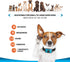 Humane Dog Bark Collar, 2 Pack Anti Barking Training Collar, No Shock for Medium Large Dogs
