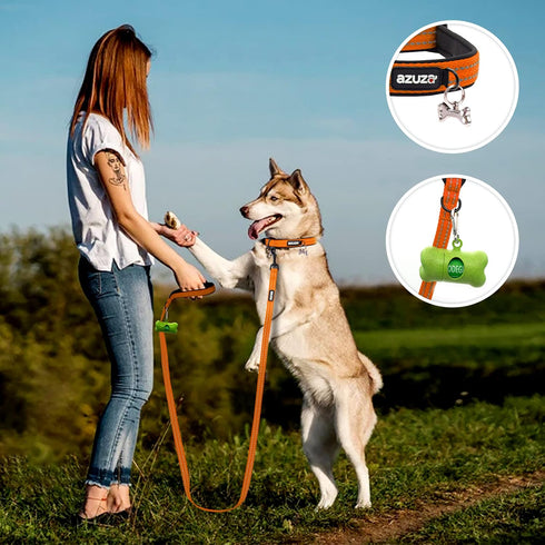 azuza Durable Padded Dog Leash and Collar Set - Reflective Strip for Large Dogs, Extra Safe and Comfy, Orange