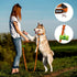 azuza Durable Padded Dog Leash and Collar Set - Reflective Strip for Large Dogs, Extra Safe and Comfy, Orange