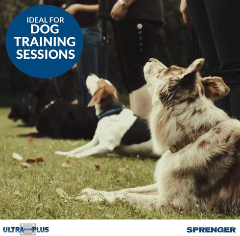 Herm Sprenger Chrome Plated Training Collar, Quick Release Snap, Medium Size, 3.0mm, 21-Inch